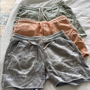 Lot of American Eagle Outfitters Peach , Green and Gray Shorts